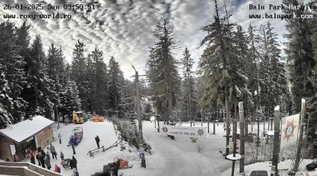 webcam-balu-park