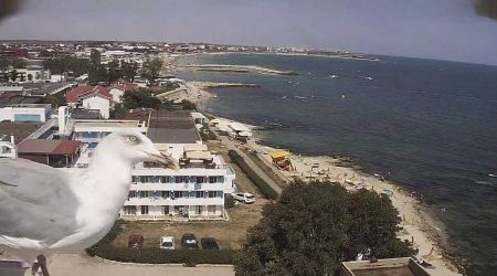 webcam-costinesti