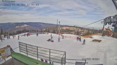 webcam-paltinis