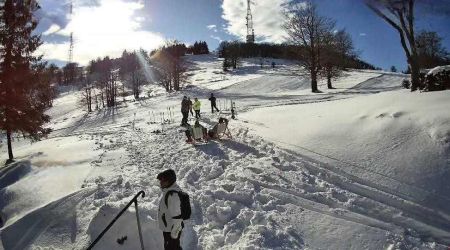 webcam-prietenii-muntilor